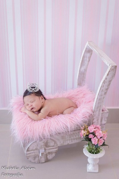 Foto fornecida por Michely Alvin Fotografia - Brasília DF